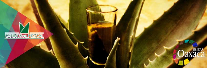 Caminos del Mezcal